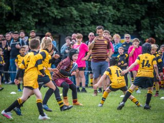 p1399742.jpg - JPEG - 538.9 ko - 2000×1501 px