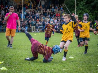 p1399745.jpg - JPEG - 623.8 ko - 2000×1501 px