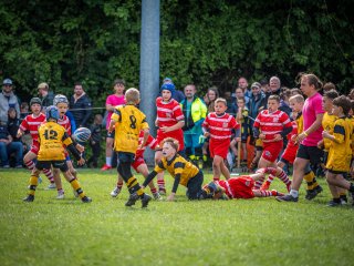 p1399813.jpg - JPEG - 627.4 ko - 2000×1501 px