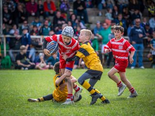 p1399841.jpg - JPEG - 555.3 ko - 2000×1501 px