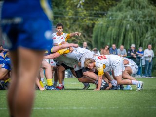 p1491045.jpg - JPEG - 414.3 ko - 2000×1501 px