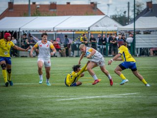 p1491410.jpg - JPEG - 486.8 ko - 2000×1501 px