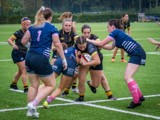 p1504783.jpg - JPEG - 618.3 ko - 2000×1501 px