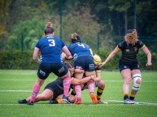 p1504837.jpg - JPEG - 511.8 ko - 2000×1501 px