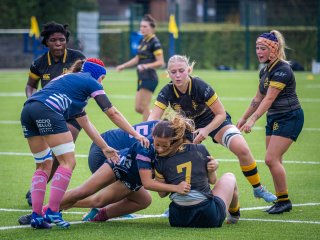 p1515218.jpg - JPEG - 534.6 ko - 2000×1502 px