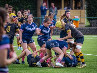 p1515239.jpg - JPEG - 556.3 ko - 2000×1501 px