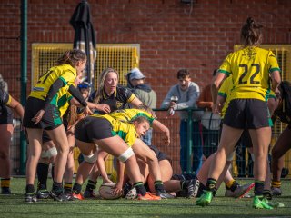 p1527425.jpg - JPEG - 519.5 ko - 2000×1501 px