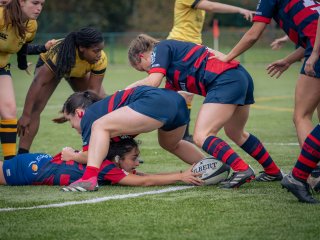 p1539824.jpg - JPEG - 504.9 ko - 2000×1502 px