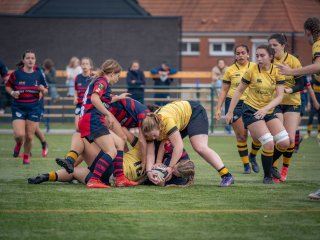 p1539888.jpg - JPEG - 456.7 ko - 2000×1501 px