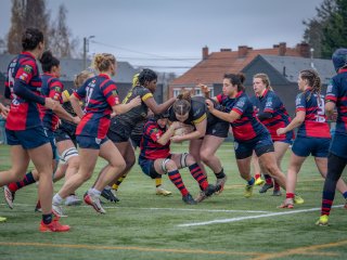 p1540608.jpg - JPEG - 496.8 ko - 2000×1501 px