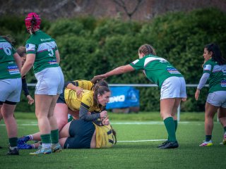 p1563478.jpg - JPEG - 475.1 ko - 2000×1502 px