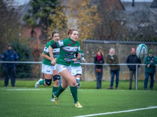 p1563619.jpg - JPEG - 429.4 ko - 2000×1501 px