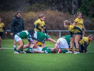 p1563681.jpg - JPEG - 478.7 ko - 2000×1502 px