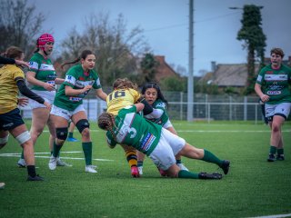 p1563698.jpg - JPEG - 466.1 ko - 2000×1501 px