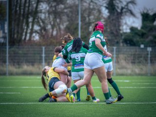 p1563767.jpg - JPEG - 434.8 ko - 2000×1501 px