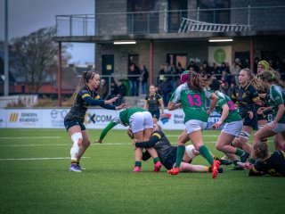 p1564161.jpg - JPEG - 466.2 ko - 2000×1501 px