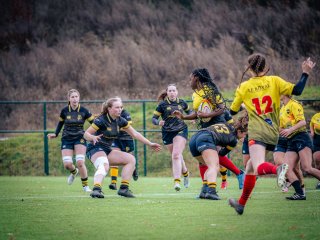 p1574956.jpg - JPEG - 491.7 ko - 2000×1501 px