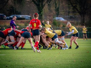 p1575569.jpg - JPEG - 535.3 ko - 2000×1501 px