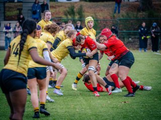 p1585939.jpg - JPEG - 546.2 ko - 2000×1502 px