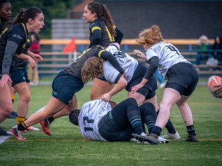 p1586441.jpg - JPEG - 481.5 ko - 2000×1501 px