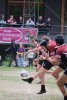 img_8103.jpg - JPEG - 624.8 ko - 2000×3000 px