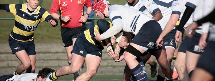 D1, matchs d'alignement : les compos