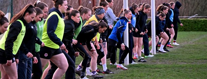 Une séance studieuse pour les Belges avant les Pays-Bas